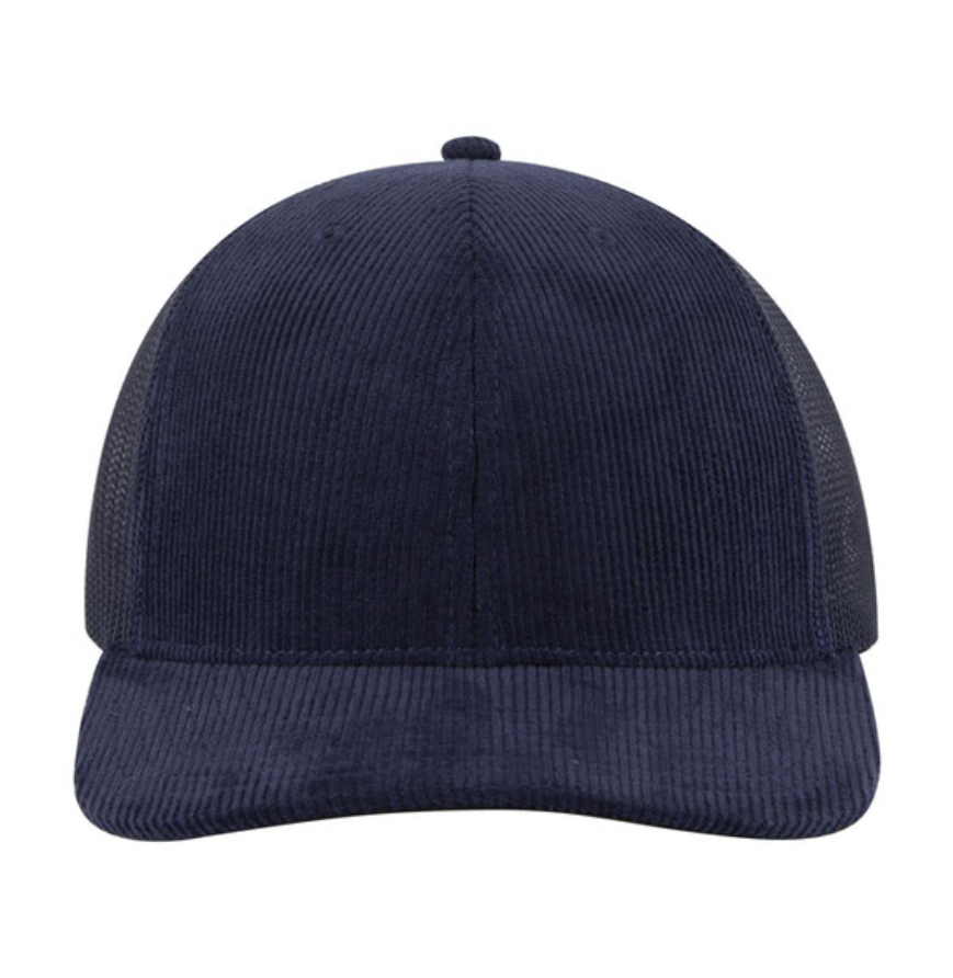 Navy Blue color