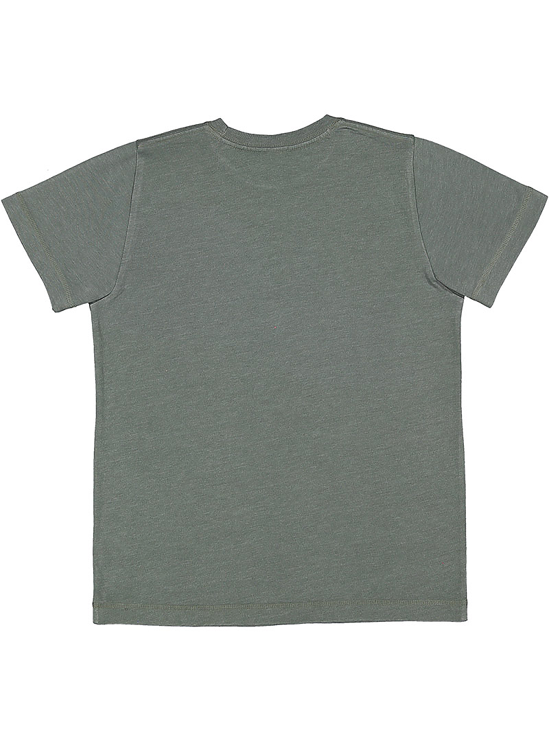 Live And Tell By LAT 6102 Washed Basil left