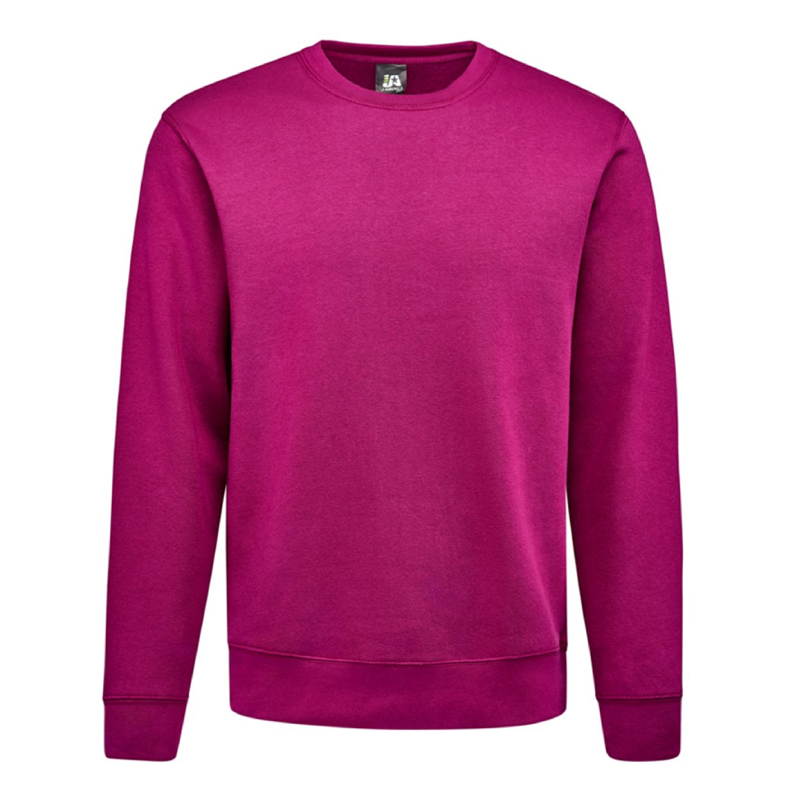 BOYSENBERRY color