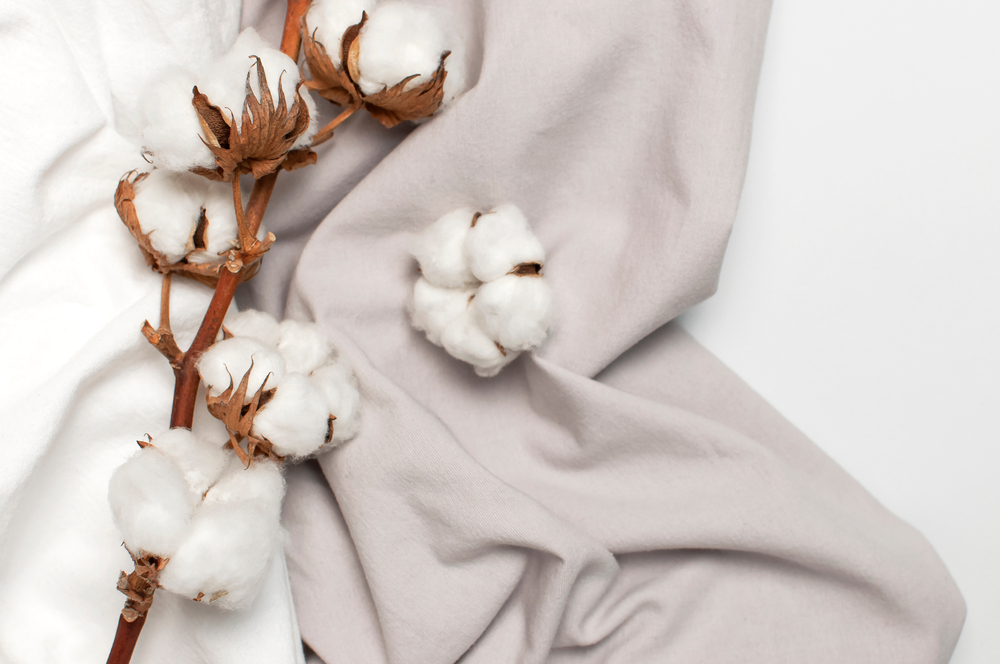 COTTONBLOG_1742824704