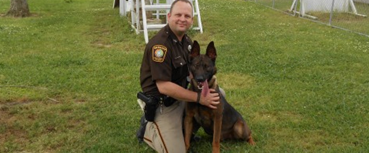 k9_1742841293