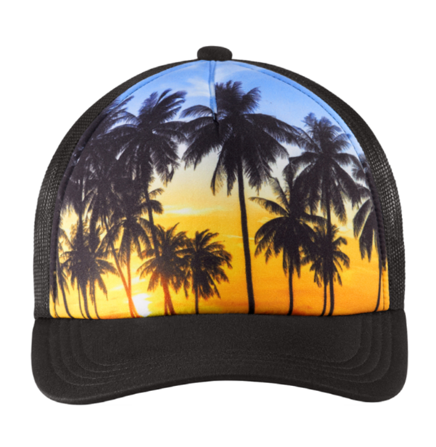 PALM-TREES