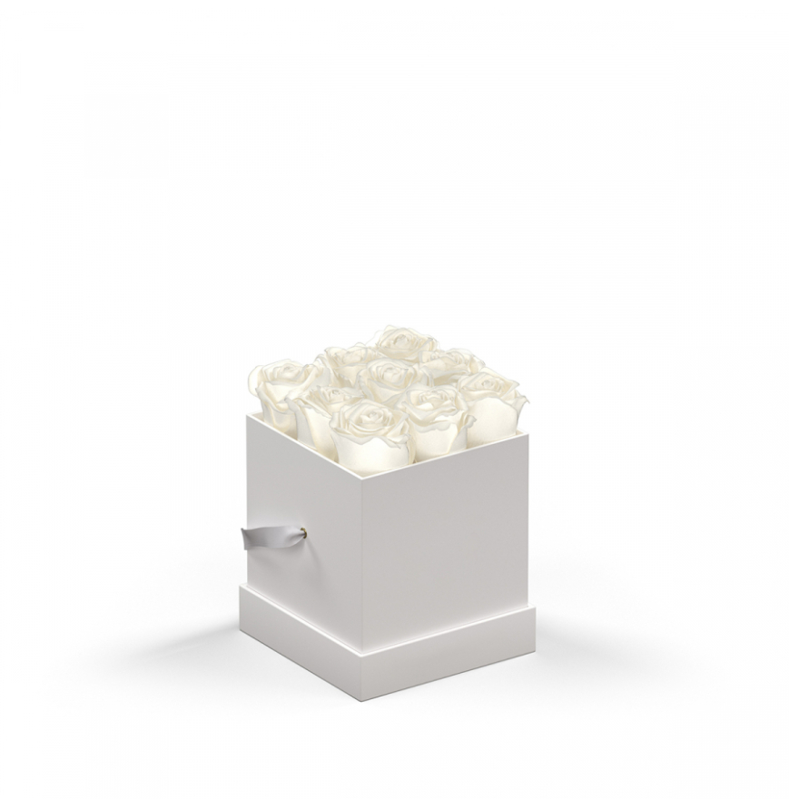 WHITE-BOX