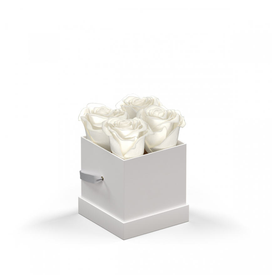 WHITE-BOX