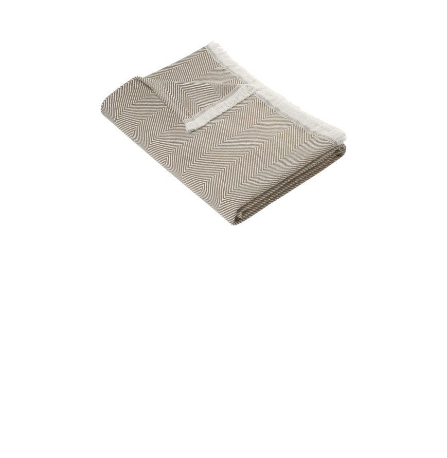 LEDGER-KHAKI-PARCHMENT